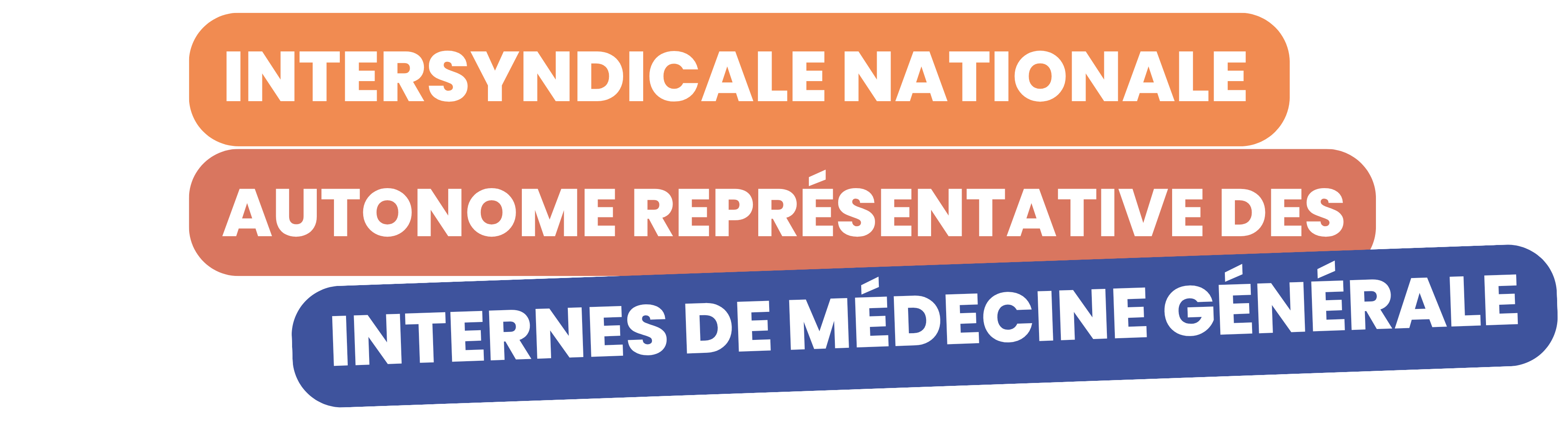 Intersyndicale Nationale Autonome Représentative des Internes de Médecine Générale
